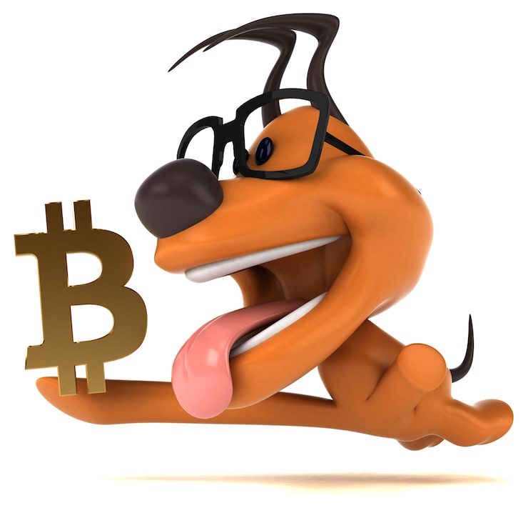 Gratis Bild rolig hund 3d-illustration