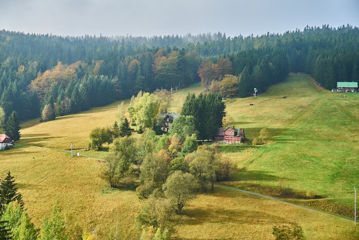 Gratis Bild solljus belyst kuperad betesmark under hösten