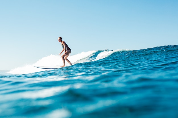 Gratis Bild surfare i havet