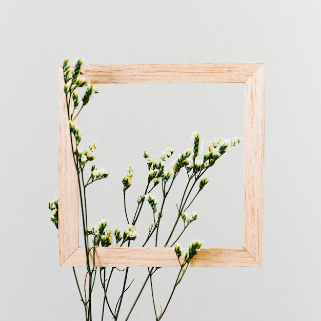 Gratis Foto træramme med blomstergren