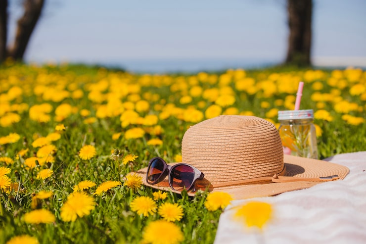 Gratis Bild vacker sommarhatt med solglasögon på gräset