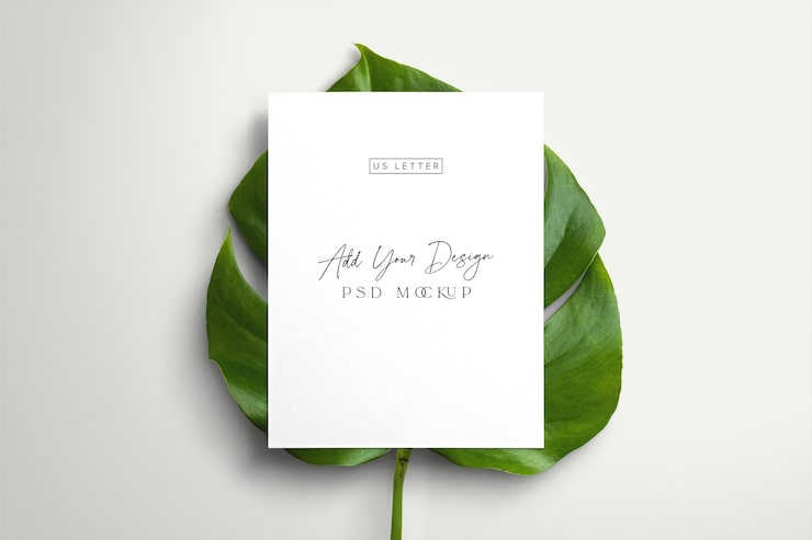 Gratis PSD ark skabelon med monstera plante
