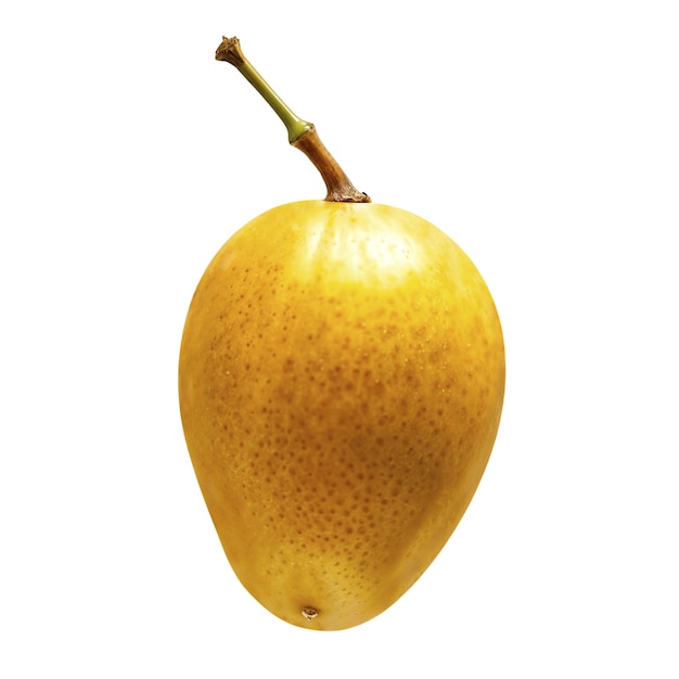 Gratis PSD deilig mango i studio