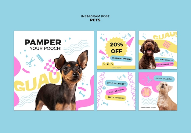 Gratis PSD design for kjæledyrmal