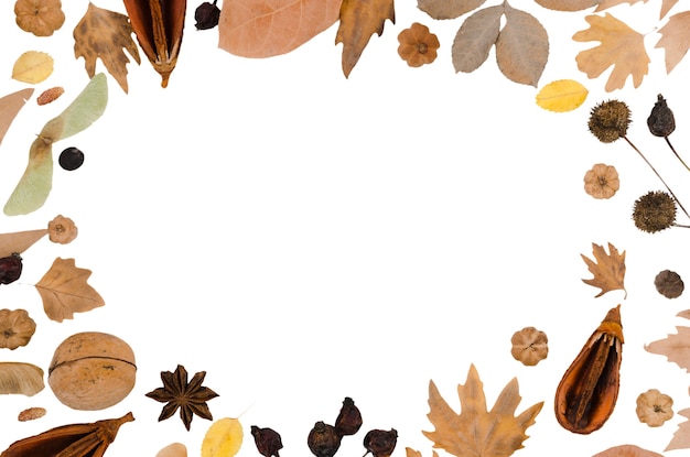 Gratis PSD efterårsblade rammedesign