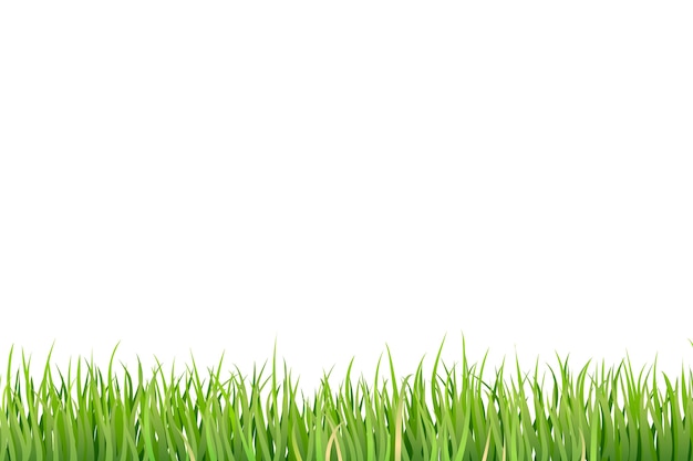 Gratis PSD gress border isolert
