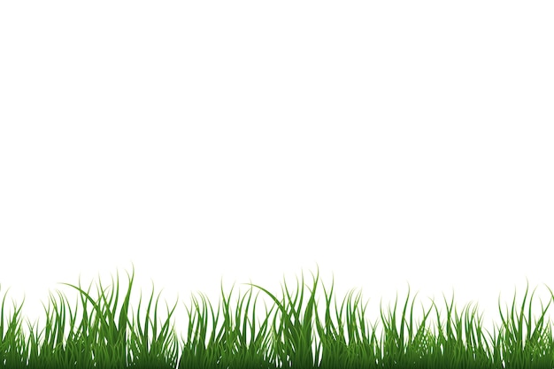 Gratis PSD gress border isolert