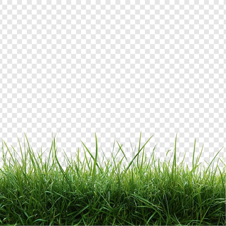 Gratis PSD levende grøn græskant - frodig eng tekstur - naturbaggrundsbillede