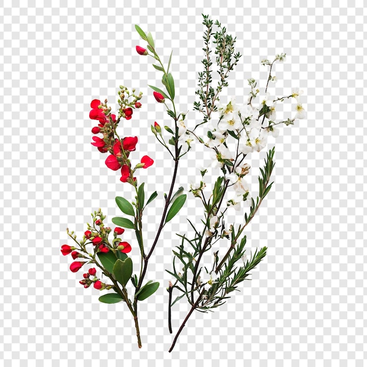 Gratis PSD livlig vårlig blomsterarrangement røde og hvite blomster
