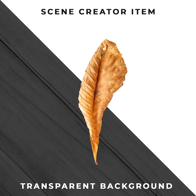 Gratis PSD træblad transparent psd