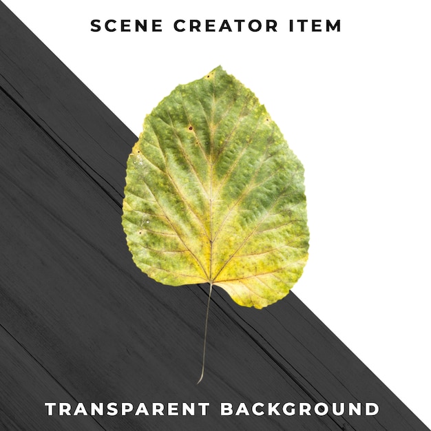 Gratis PSD treblad transparent psd