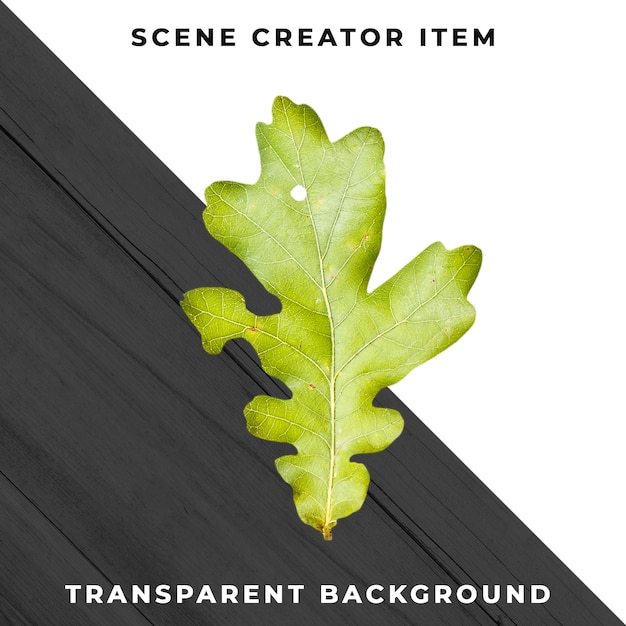 Gratis PSD treblad transparent psd