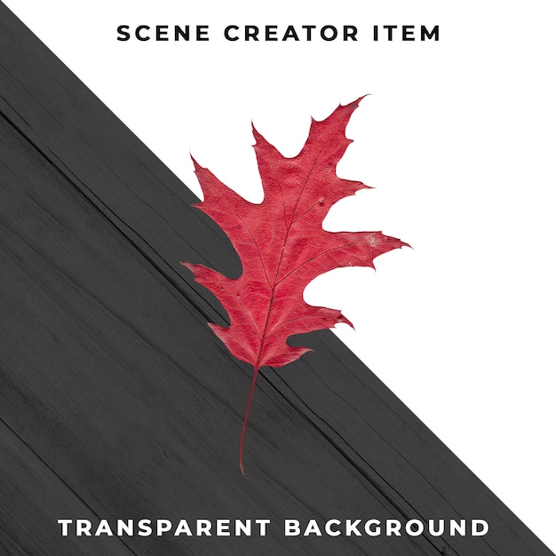 Gratis PSD treblad transparent psd