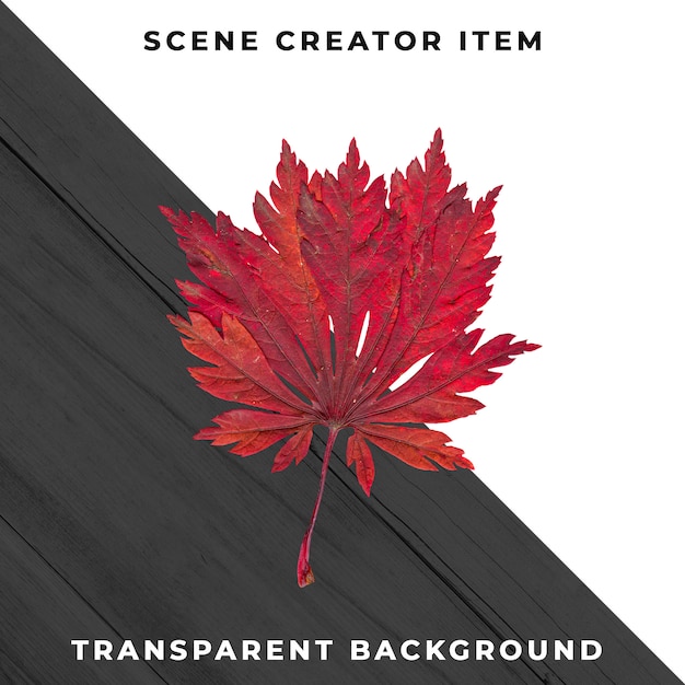 Gratis PSD treblad transparent psd
