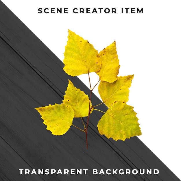 Gratis PSD treblad transparent psd