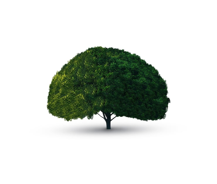 Gratis PSD vakkert tre isolert