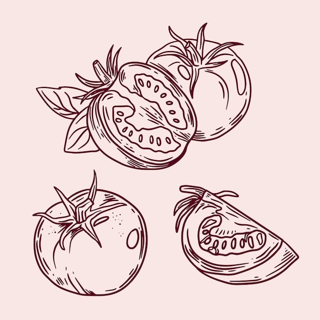 Gratis Vektor håndtegnet illustration af tomatomrids