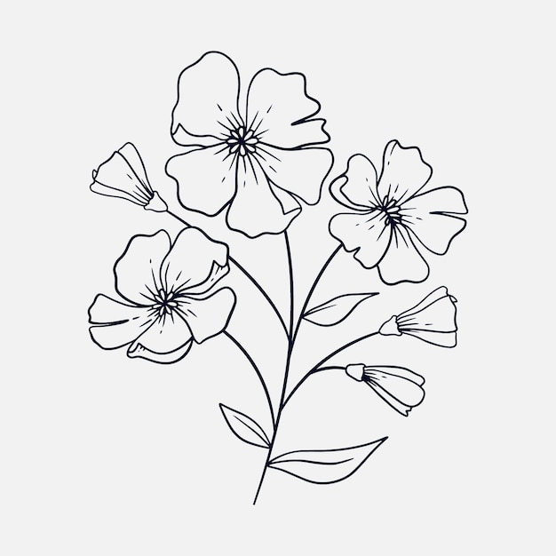 Gratis Vektor håndtegnet simpel blomsterkontur