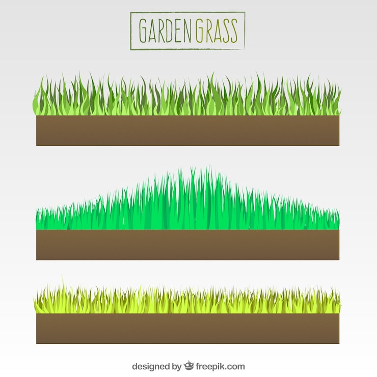 Gratis Vektor udvalg af havegræs