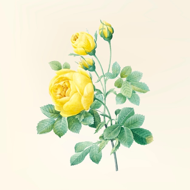 Gratis Vektor vintage blomsterillustration