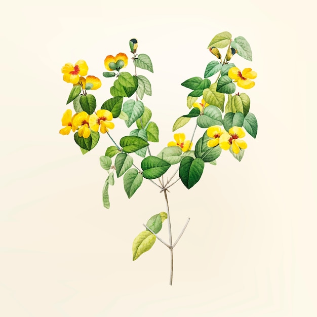 Gratis Vektor vintage blomsterillustration