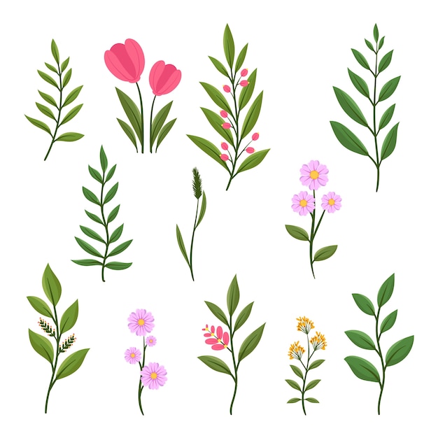 Gratis Vektor botanisk hage element collection