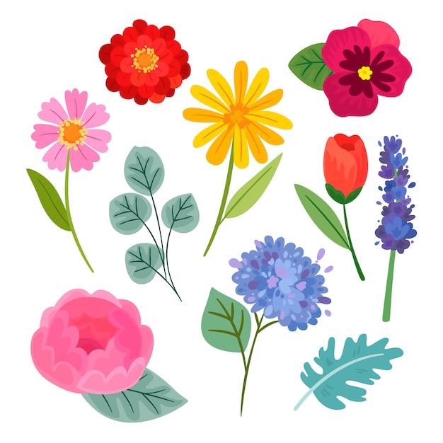 Gratis Vektor fargerik samling av flat design blomster