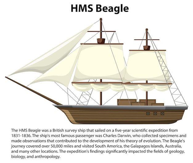 Gratis Vektor hms beagle skip informativ plakat