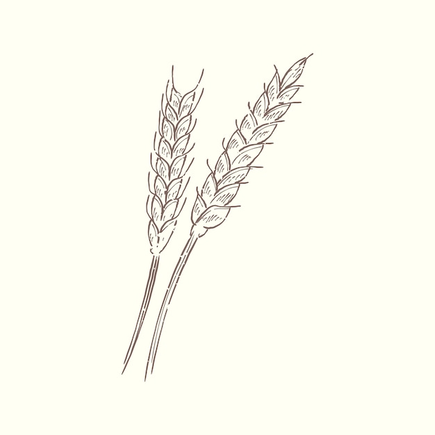 Gratis Vektor illustrasjon av plante