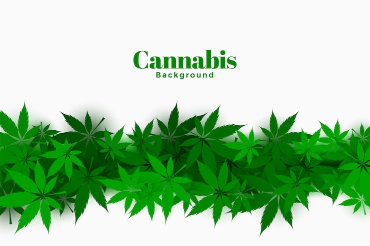 Gratis Vektor stilig cannabis bakgrunn med marihuana blader design