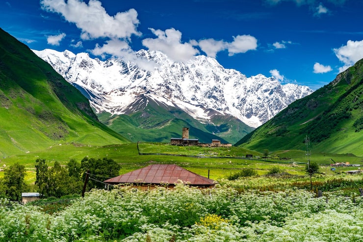 Photo khung cảnh đồng ruộng và núi non thanh bình