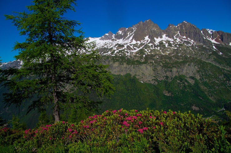 Photo pecleretargetiere chamonix haute savoie pháp