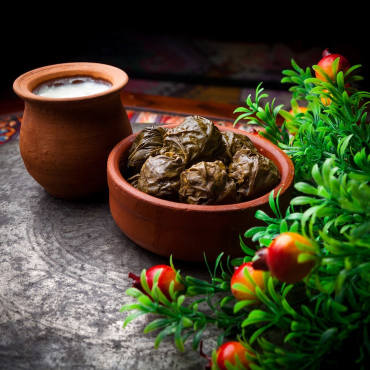 Miễn phí Photo góc nhìn bên cạnh dolma với sữa chua và giấm trong đĩa đất nung