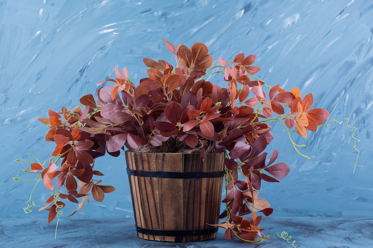 Miễn phí Photo một giỏ gỗ đầy lá khô trên nền xanh.