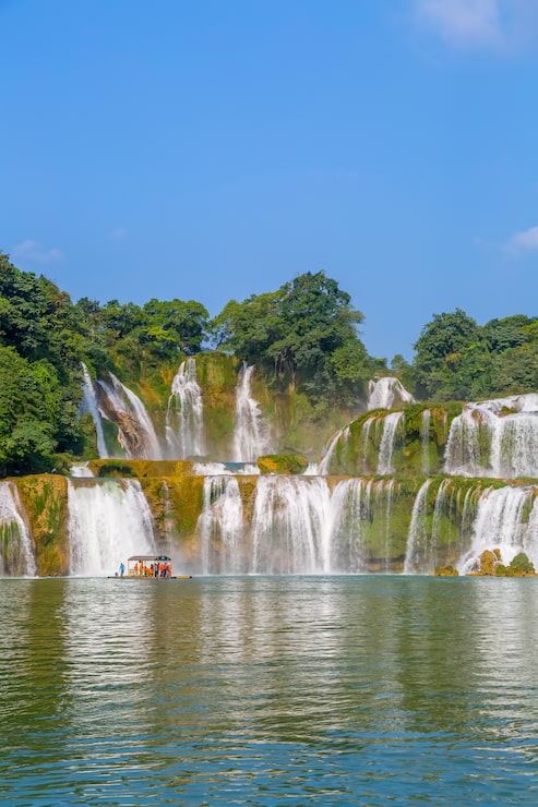 Miễn phí Photo mùa hè nước lá nền rừng ngoài trời
