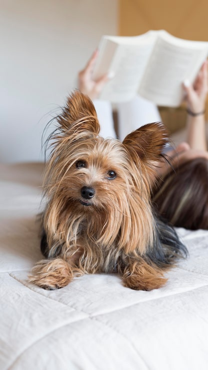 Miễn phí Photo người phụ nữ và chú chó bên cạnh đang đọc sách