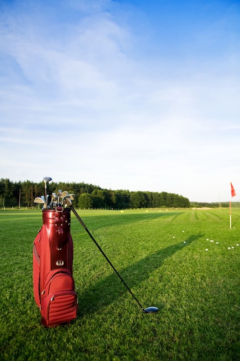 Miễn phí Photo túi đựng gậy golf