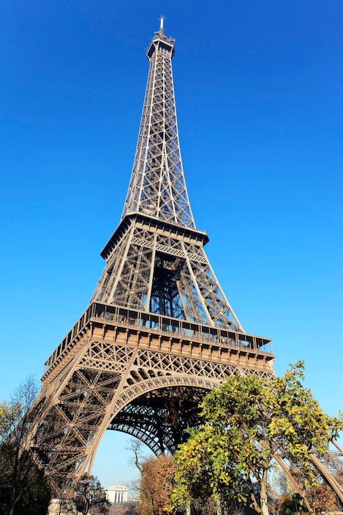 Photo gratuit célèbre tour eiffel et arbres à paris