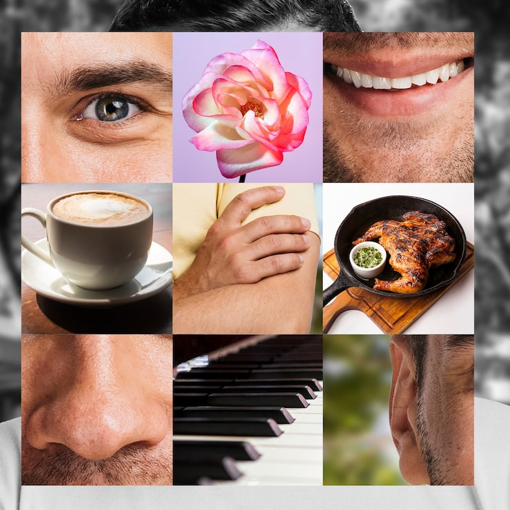 Photo gratuit collage des cinq sens avec piano