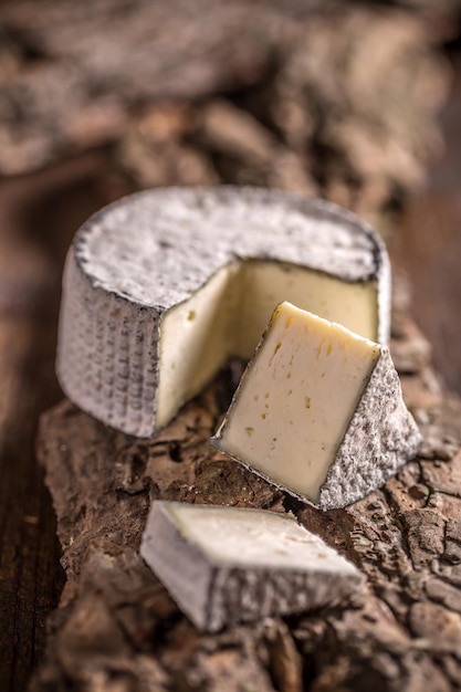 Photo gratuit fromage camembert en tranches