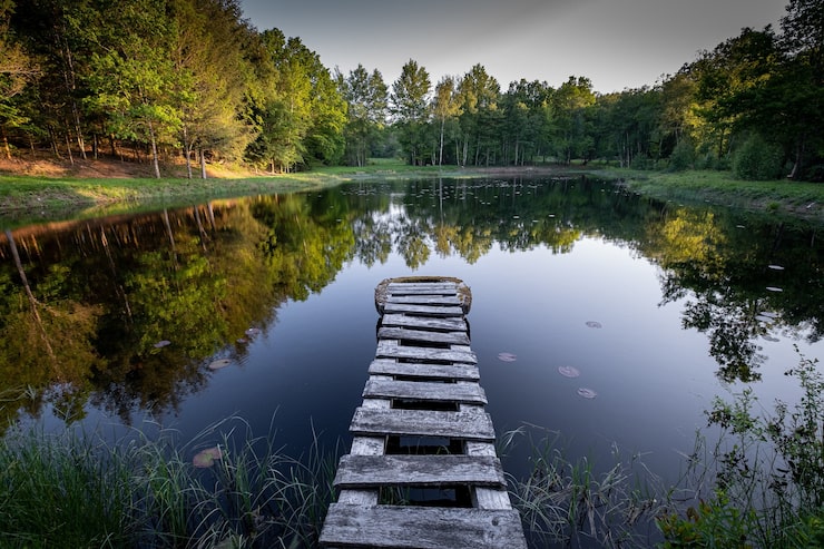 Photo gratuit une jetée en bois rustique sur un lac