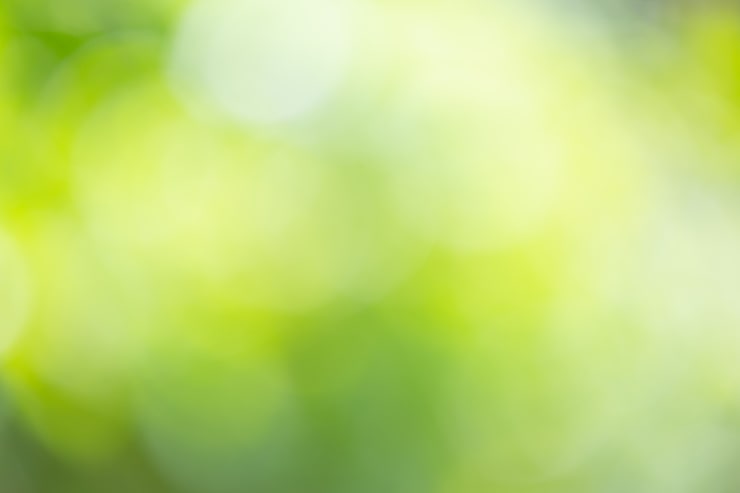 Photo gratuit la nature verte et floue abstraite