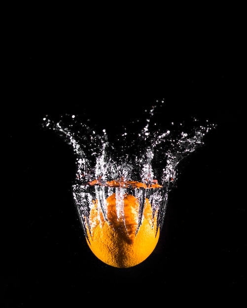 Photo gratuit orange plongeant dans l'eau