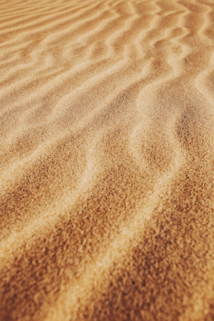 Photo gratuit une prise de vue verticale des motifs sur le sable du désert