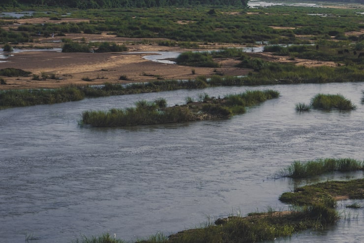 Photo gratuit rivière bharatha avec peu d'eau et herbe verte