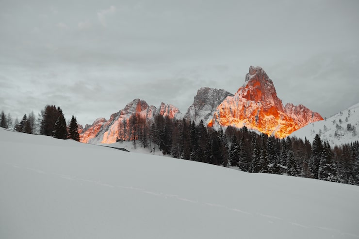 Photo gratuit terrain couvert de neige