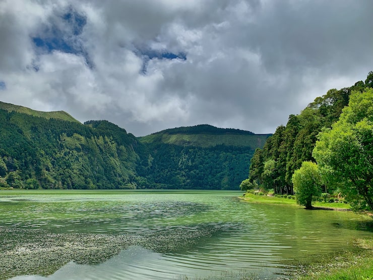 Photo gratuit une vue sur le paysage marin avec une surface d'eau verte et des collines couvertes de verdure luxuriante sur les côtés