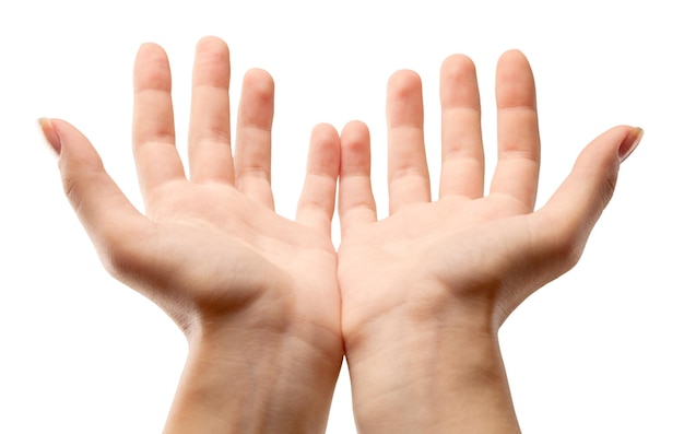 Photo les mains en coupe