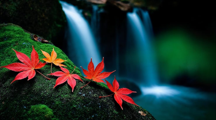 Photo scène d'une cascade d'automne avec des feuilles d'érable