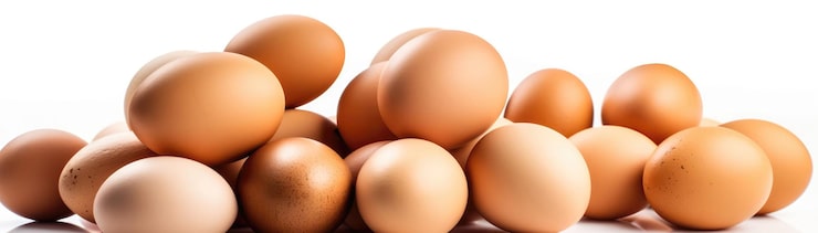 Foto haug med egg på en hvit bakgrunn generativ ai